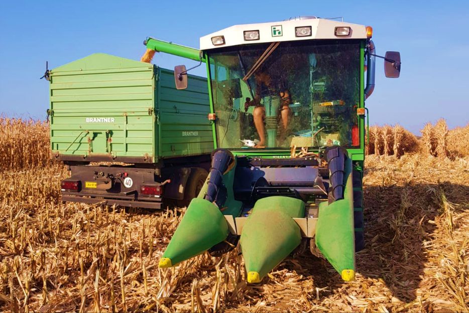 Other Machines from Haldrup USA,Haldrup USA Corn/Geringhoff, Corn/Geringhoff for field research, Rota-Disc, Gathering chains