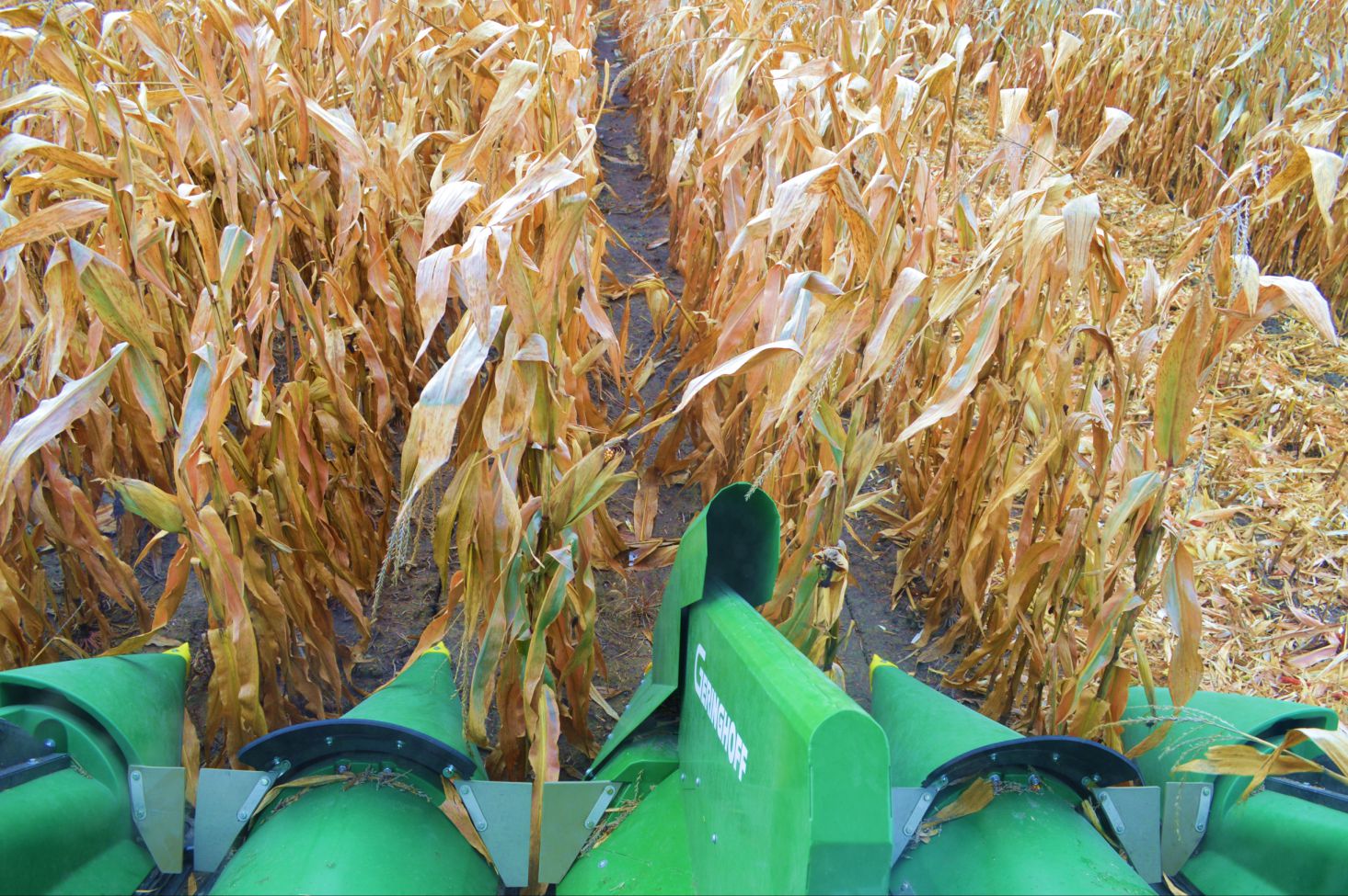 Other Machines from Haldrup USA,Haldrup USA Corn/Geringhoff, Corn/Geringhoff for field research, Rota-Disc, Gathering chains