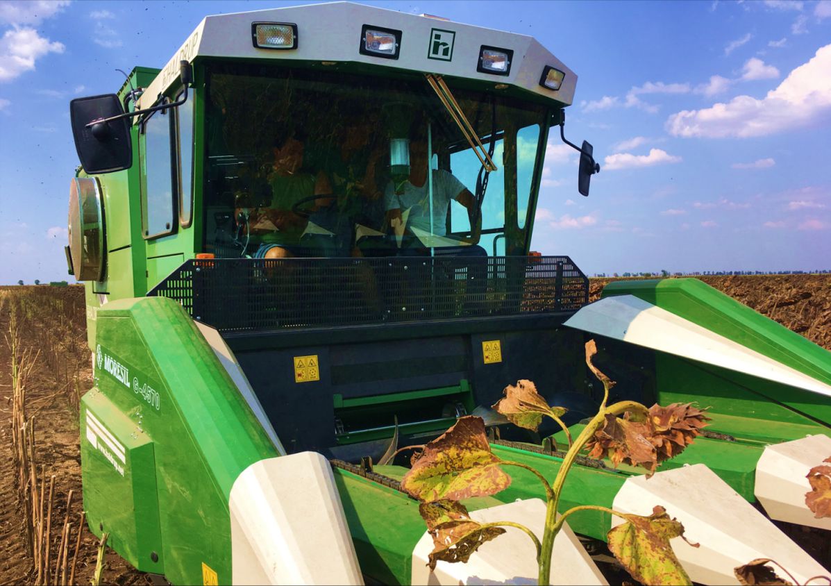 Other,Haldrup USA Sunflower Moresil, header with chains for sunflower